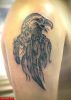 Filename=Adler_Feder_Oberarm.jpg
Filesize=76KB
Dimensions=611x850
Date added=Nov 14, 2008 Adler_Feder_Oberarm.jpg
