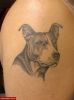 Filename=Dog_.jpg
Filesize=67KB
Dimensions=562x750
Date added=Nov 14, 2008 Dog_.jpg