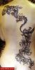 Filename=Drachen_Blume_Ruecken.jpg
Filesize=36KB
Dimensions=295x580
Date added=Nov 14, 2008 Drachen_Blume_Ruecken.jpg