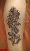 Filename=Drachen_Schwert_Wade.jpg
Filesize=56KB
Dimensions=420x700
Date added=Nov 14, 2008 Drachen_Schwert_Wade.jpg