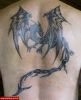 Filename=Drachen_West.jpg
Filesize=73KB
Dimensions=517x638
Date added=Nov 14, 2008 Drachen_West.jpg