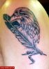 Filename=Feder_Adler_tOberarm.jpg
Filesize=55KB
Dimensions=412x580
Date added=Nov 14, 2008 Feder_Adler_tOberarm.jpg