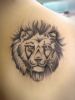 Filename=Lion_Schulter.jpg
Filesize=64KB
Dimensions=564x750
Date added=Nov 14, 2008 Lion_Schulter.jpg