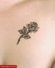 Filename=Little_Rose_Decolte1.jpg
Filesize=23KB
Dimensions=400x500
Date added=Nov 14, 2008 Little_Rose_Decolte1.jpg