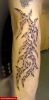 Filename=U_arm-TribalArt.jpg
Filesize=46KB
Dimensions=349x700
Date added=Nov 14, 2008 U_arm-TribalArt.jpg