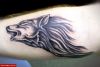 Filename=Wolf_Unterarm_innen.jpg
Filesize=62KB
Dimensions=752x504
Date added=Nov 14, 2008 Wolf_Unterarm_innen.jpg