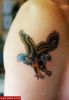 Filename=Adler_01_Oberarm.jpg
Filesize=38KB
Dimensions=405x580
Date added=Nov 14, 2008 Adler_01_Oberarm.jpg