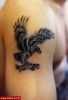 Filename=Adler_02_Oberarm.jpg
Filesize=49KB
Dimensions=400x580
Date added=Nov 14, 2008 Adler_02_Oberarm.jpg