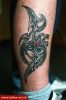 Filename=Biomech_Wade.jpg
Filesize=29KB
Dimensions=288x432
Date added=Nov 14, 2008 Biomech_Wade.jpg