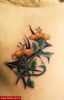 Filename=Blume_Tibal.jpg
Filesize=41KB
Dimensions=368x574
Date added=Nov 14, 2008 Blume_Tibal.jpg