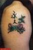 Filename=Chinasign_Blume_Oberarm.jpg
Filesize=53KB
Dimensions=389x580
Date added=Nov 14, 2008 Chinasign_Blume_Oberarm.jpg