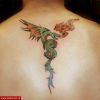Filename=Drachen_Ruecken.jpg
Filesize=69KB
Dimensions=580x580
Date added=Nov 14, 2008 Drachen_Ruecken.jpg