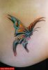 Filename=Fantasy_Schmetterling.jpg
Filesize=50KB
Dimensions=404x580
Date added=Nov 14, 2008 Fantasy_Schmetterling.jpg