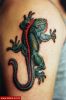 Filename=Leguan_Oberarm.jpg
Filesize=45KB
Dimensions=386x580
Date added=Nov 14, 2008 Leguan_Oberarm.jpg