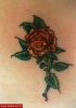Filename=Rose_Tattoo.jpg
Filesize=45KB
Dimensions=409x580
Date added=Nov 14, 2008 Rose_Tattoo.jpg