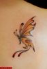 Filename=Schmetterling.jpg
Filesize=40KB
Dimensions=479x690
Date added=Nov 14, 2008 Schmetterling.jpg
