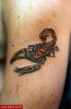 Filename=Skorpion_Oberarm.jpg
Filesize=45KB
Dimensions=381x580
Date added=Nov 14, 2008 Skorpion_Oberarm.jpg