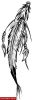 Filename=Feder_Pablo.jpg
Filesize=38KB
Dimensions=255x750
Date added=Nov 14, 2008 Feder_Pablo.jpg