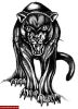 Filename=Panther_Pablo.jpg
Filesize=79KB
Dimensions=504x700
Date added=Nov 14, 2008 Panther_Pablo.jpg