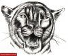 Filename=Panther_gefunden.jpg
Filesize=61KB
Dimensions=491x406
Date added=Nov 14, 2008 Panther_gefunden.jpg