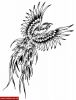 Filename=Paradiesvogel_Pablo.jpg
Filesize=52KB
Dimensions=495x650
Date added=Nov 14, 2008 Paradiesvogel_Pablo.jpg