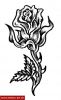 Filename=Rose_Pablo.jpg
Filesize=32KB
Dimensions=299x483
Date added=Nov 14, 2008 Rose_Pablo.jpg