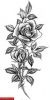 Filename=Rose_gefunden_02.jpg
Filesize=72KB
Dimensions=433x850
Date added=Nov 14, 2008 Rose_gefunden_02.jpg