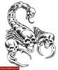 Filename=Skorpion_gefunden.jpg
Filesize=35KB
Dimensions=366x439
Date added=Nov 14, 2008 Skorpion_gefunden.jpg
