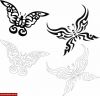 Filename=Tribal_Butterfly.jpg
Filesize=62KB
Dimensions=704x676
Date added=Nov 14, 2008 Tribal_Butterfly.jpg