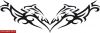 Filename=Tribal_Delfin_Steissbein.jpg
Filesize=31KB
Dimensions=760x256
Date added=Nov 14, 2008 Tribal_Delfin_Steissbein.jpg