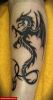 Filename=Drachen_Wade.jpg
Filesize=50KB
Dimensions=377x700
Date added=Nov 14, 2008 Drachen_Wade.jpg