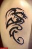 Filename=Dragon_Tribal.jpg
Filesize=66KB
Dimensions=493x750
Date added=Nov 14, 2008 Dragon_Tribal.jpg