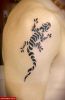 Filename=Gecko.jpg
Filesize=49KB
Dimensions=488x750
Date added=Nov 14, 2008 Gecko.jpg