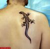 Filename=Gecko_Schulter.jpg
Filesize=56KB
Dimensions=580x571
Date added=Nov 14, 2008 Gecko_Schulter.jpg