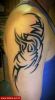 Filename=Oberarm_03.jpg
Filesize=41KB
Dimensions=321x580
Date added=Nov 14, 2008 Oberarm_03.jpg