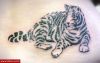 Filename=Tiger_01.jpg
Filesize=42KB
Dimensions=600x378
Date added=Nov 14, 2008 Tiger_01.jpg