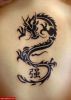 Filename=Trib_Dragon_Ruecken.jpg
Filesize=76KB
Dimensions=565x788
Date added=Nov 14, 2008 Trib_Dragon_Ruecken.jpg