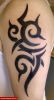 Filename=Tribal-O_Arm.jpg
Filesize=49KB
Dimensions=381x700
Date added=Nov 14, 2008 Tribal-O_Arm.jpg