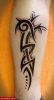 Filename=Tribal-Wade.jpg
Filesize=57KB
Dimensions=408x750
Date added=Nov 14, 2008 Tribal-Wade.jpg