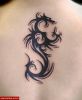 Filename=Tribal_Dragon.jpg
Filesize=61KB
Dimensions=519x626
Date added=Nov 14, 2008 Tribal_Dragon.jpg