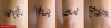 Filename=Tribal_Handgelenk.jpg
Filesize=26KB
Dimensions=850x222
Date added=Nov 14, 2008 Tribal_Handgelenk.jpg