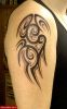 Filename=Tribal_O_Arm_2.jpg
Filesize=71KB
Dimensions=470x750
Date added=Nov 14, 2008 Tribal_O_Arm_2.jpg