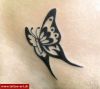 Filename=Tribal_Schmetterling.jpg
Filesize=32KB
Dimensions=416x371
Date added=Nov 14, 2008 Tribal_Schmetterling.jpg