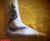 Filename=Wade_Fuss.jpg
Filesize=69KB
Dimensions=580x484
Date added=Nov 14, 2008 Wade_Fuss.jpg