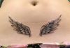 Filename=Angel_Wings.jpg
Filesize=98KB
Dimensions=850x594
Date added=Oct 15, 2010 Angel_Wings.jpg