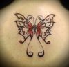Filename=Butterfly_Tribal.jpg
Filesize=71KB
Dimensions=750x734
Date added=May 30, 2010 Butterfly_Tribal.jpg