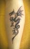 Filename=ChinaArt-Dragon_Wade.jpg
Filesize=92KB
Dimensions=500x800
Date added=Nov 13, 2011 ChinaArt-Dragon_Wade.jpg