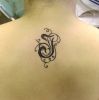 Filename=J-_-tattooartpablo_font.jpg
Filesize=98KB
Dimensions=744x750
Date added=Jul 10, 2009 J-_-tattooartpablo_font.jpg