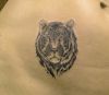 Filename=Little-Tiger_tattoopablo.jpg
Filesize=89KB
Dimensions=700x609
Date added=Oct 15, 2010 Little-Tiger_tattoopablo.jpg