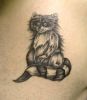 Filename=Raccoon_Brust.jpg
Filesize=63KB
Dimensions=659x750
Date added=Oct 15, 2010 Raccoon_Brust.jpg